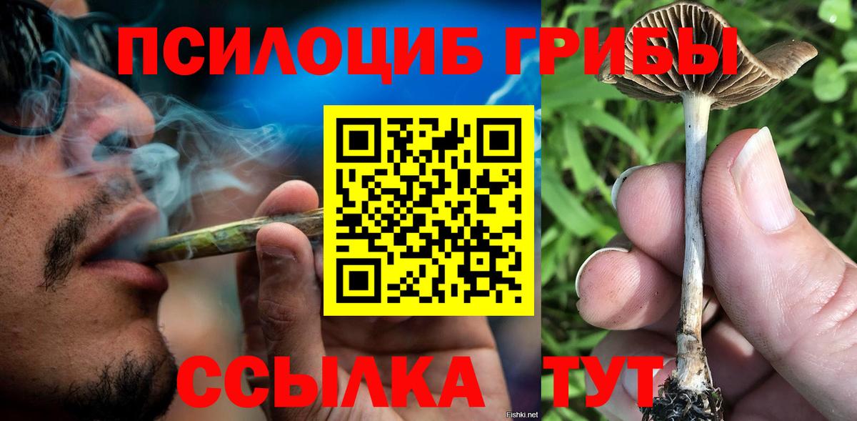как найти наркотики  Вход с VPN  Выкса  Псилоцибиновые грибы мицелий 