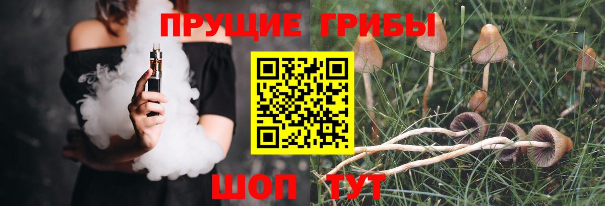 Псилоцибиновые грибы Выкса